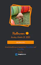 SnapSpaces gallery image