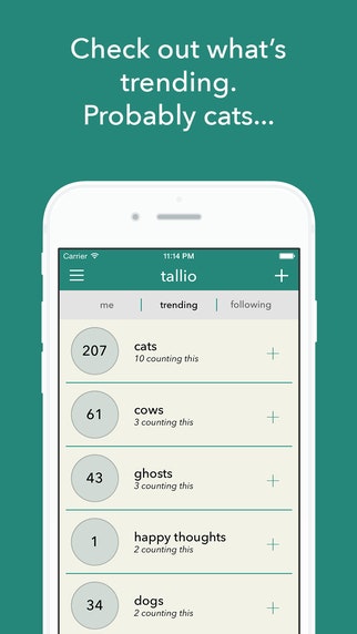 Tallio gallery image
