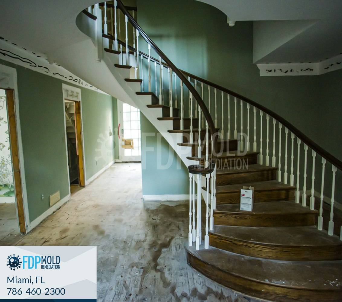 Mold Remediation in Dallas, TX gallery image