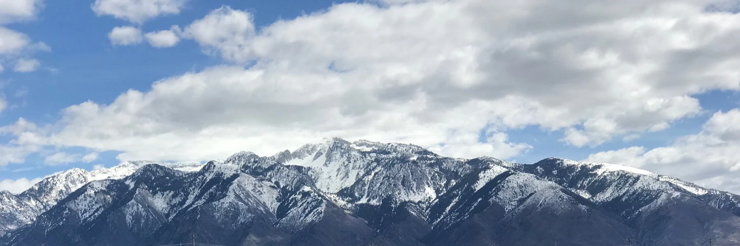 Joseph McLaughlin cover