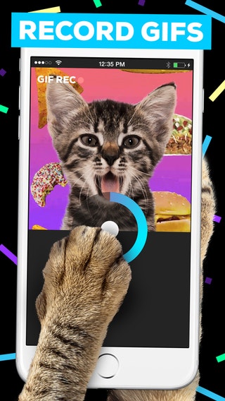 Giphy Cam 2.0 gallery image