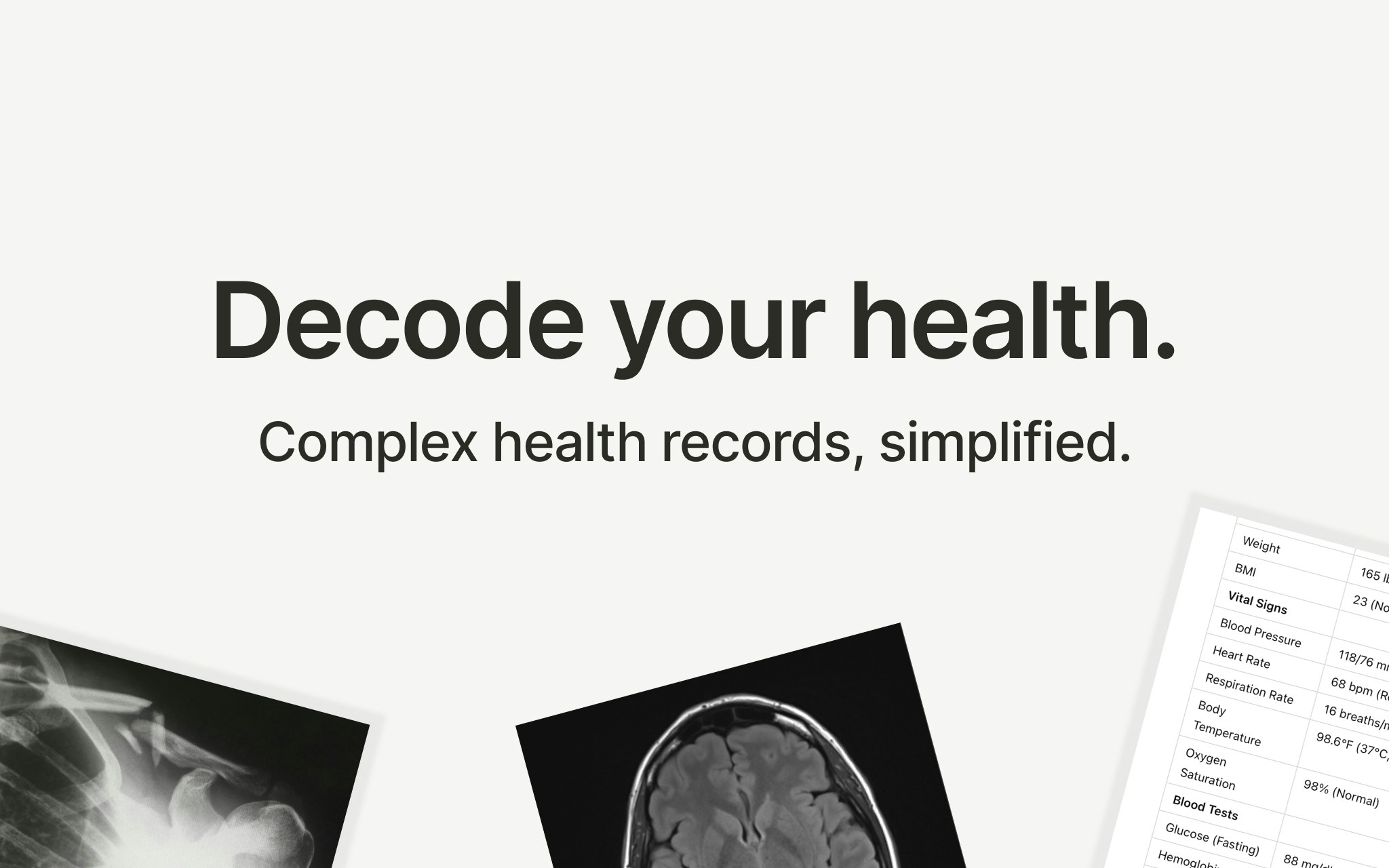 Ambrogia gallery image