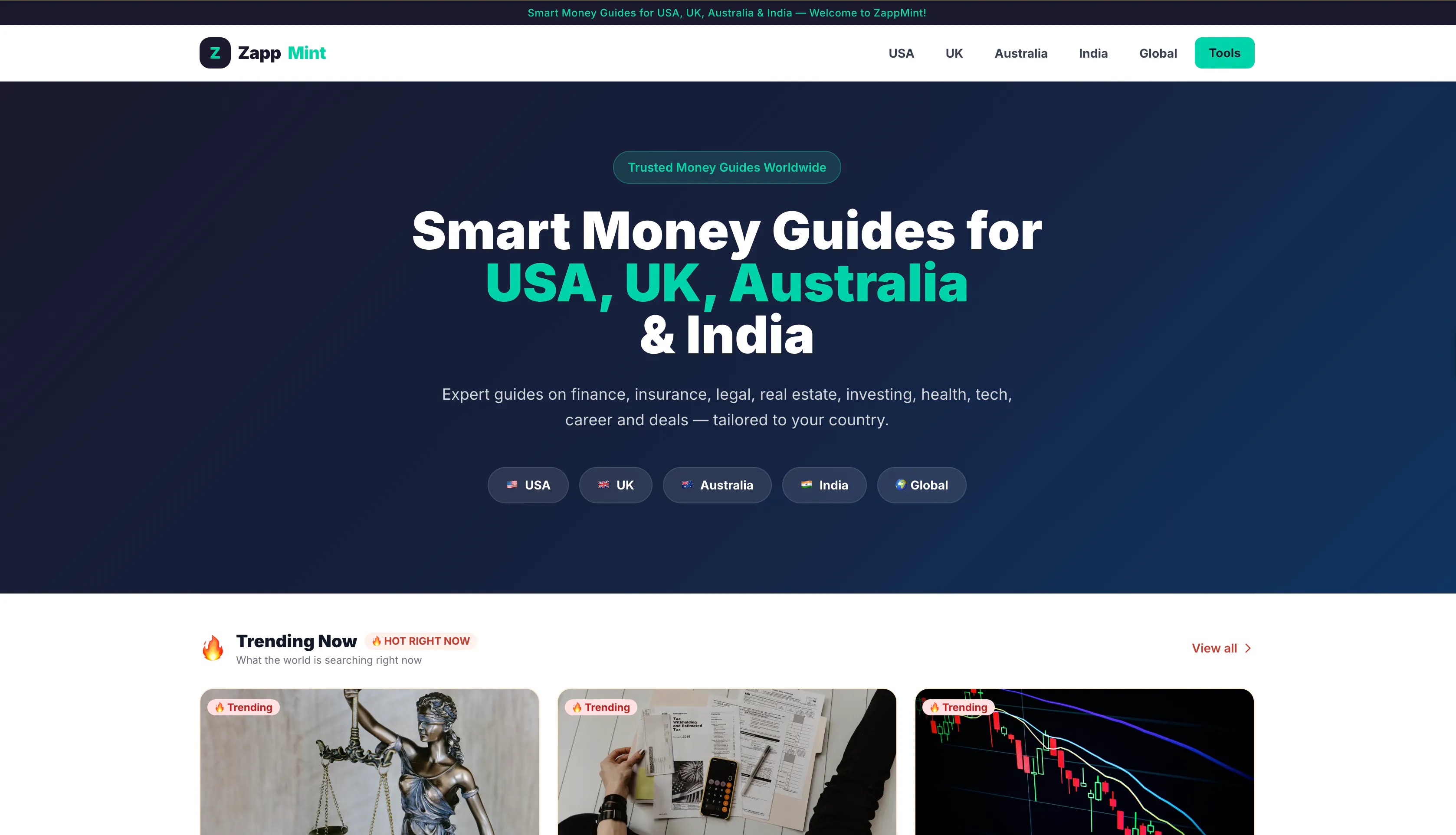 ZappMint product banner