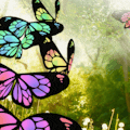Harmony
