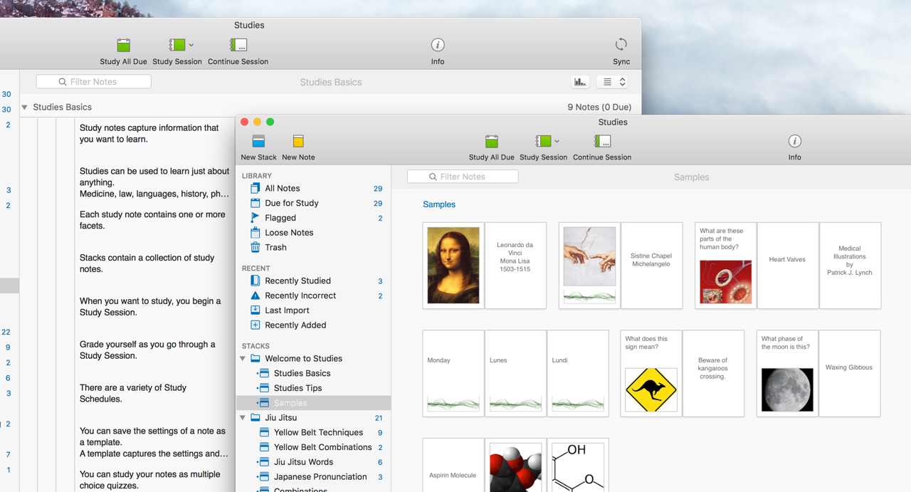 Studies gallery image