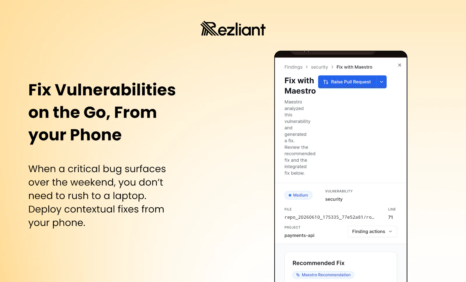 Rezliant Maestro screenshot 9