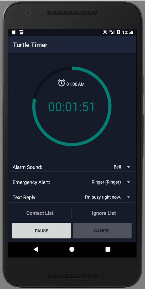 Turtle Timer gallery image