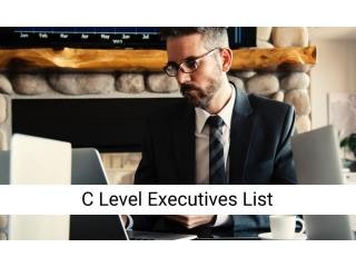 C Level Executives Mailing List| USA