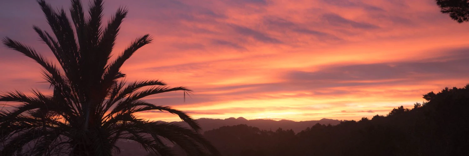 Jonathan (Yoni) Ofir cover