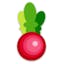 Funky Radish - Recipe Collector