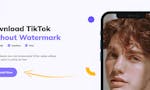 HitPaw TikTok Online Watermark Remover image