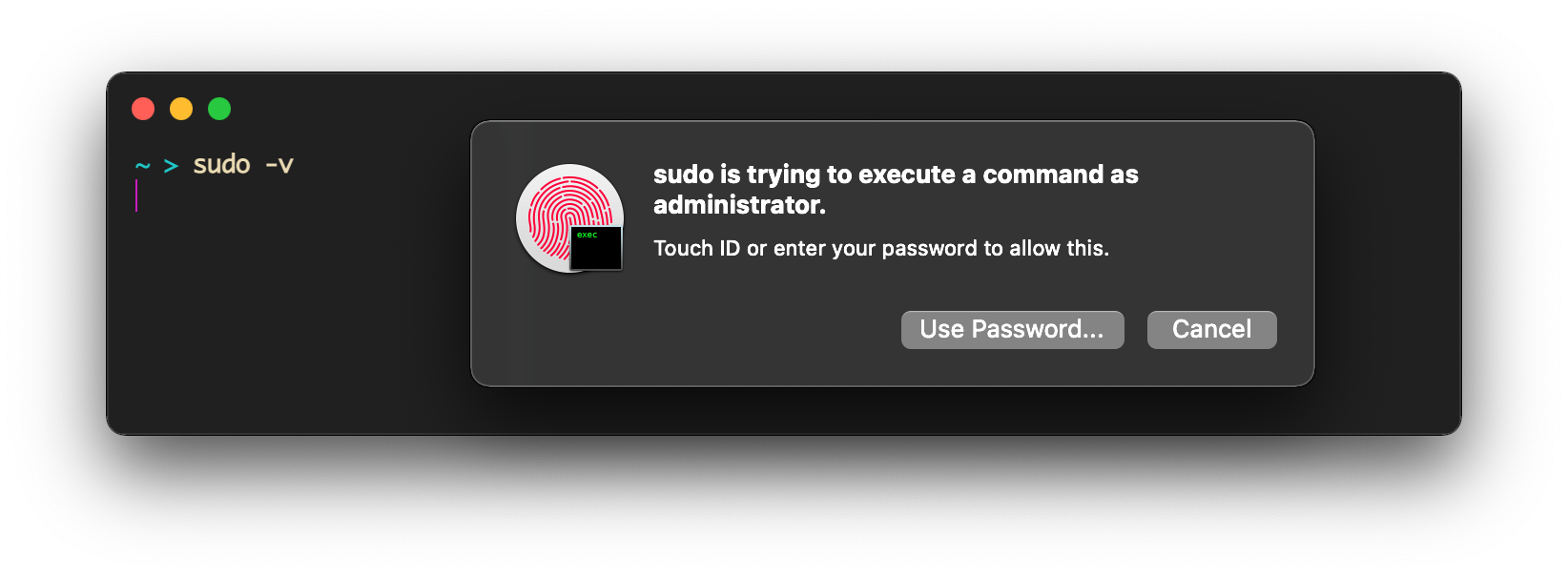sudo-touchid gallery image