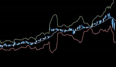 Stock Raptor gallery image