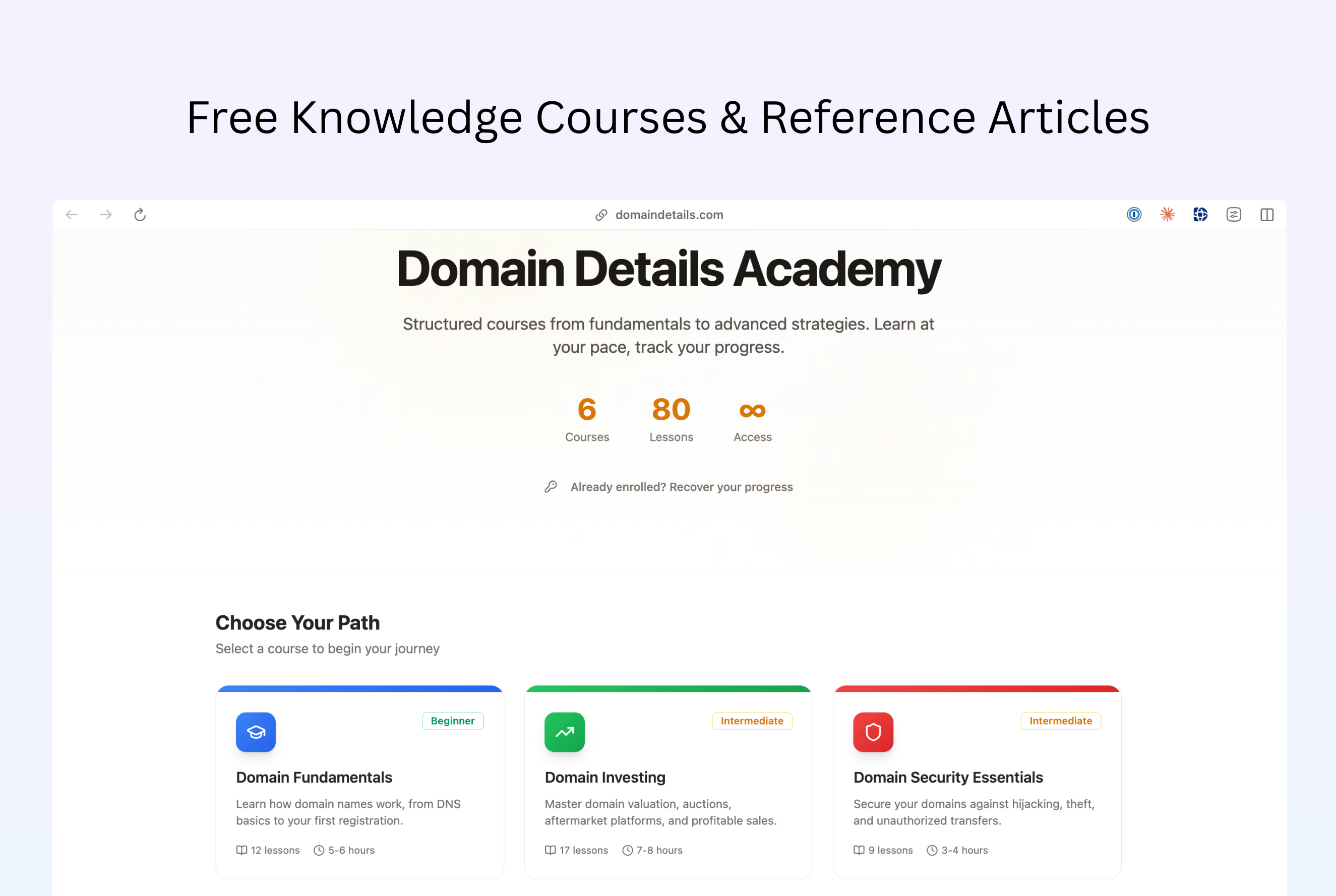 DomainDetails.com - Free & Private WHOIS gallery image