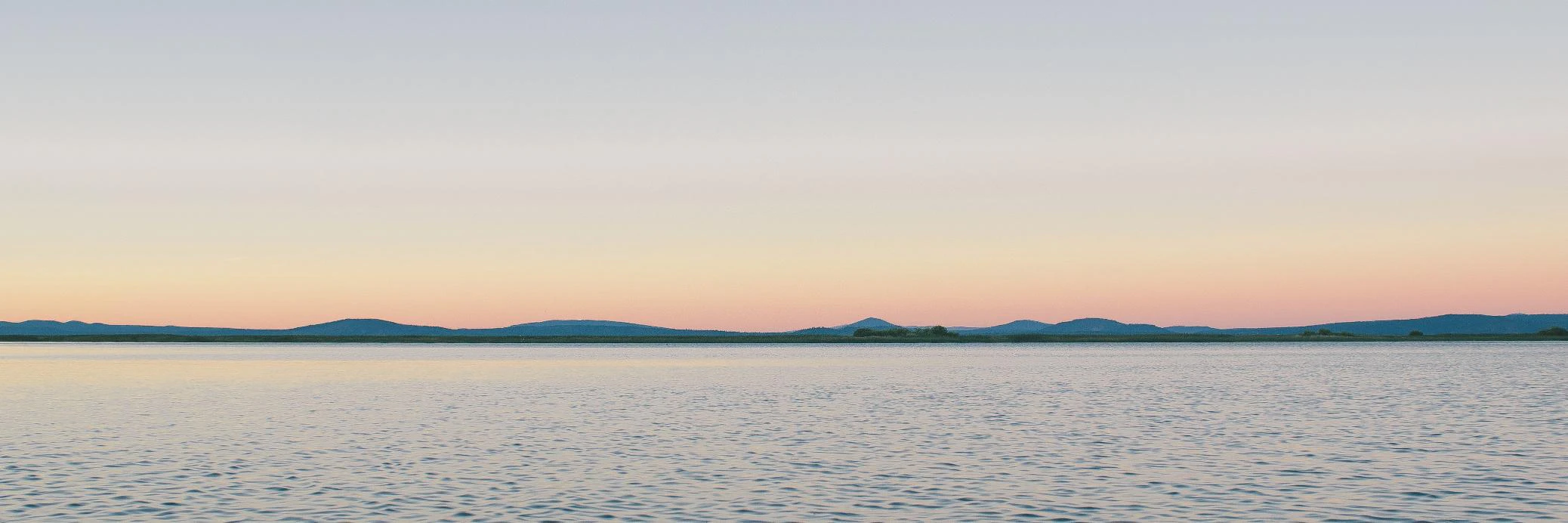 Forrest Scofield cover