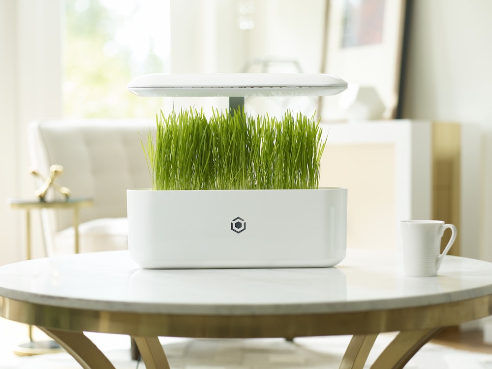 AVA Byte gallery image