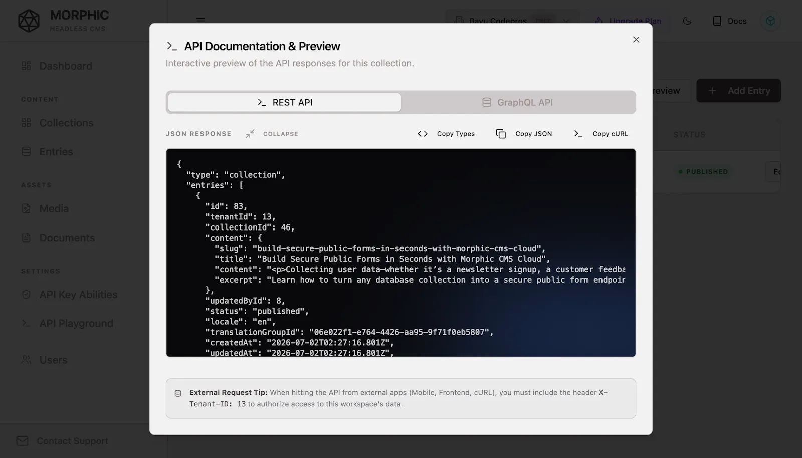 Morphic CMS screenshot 5