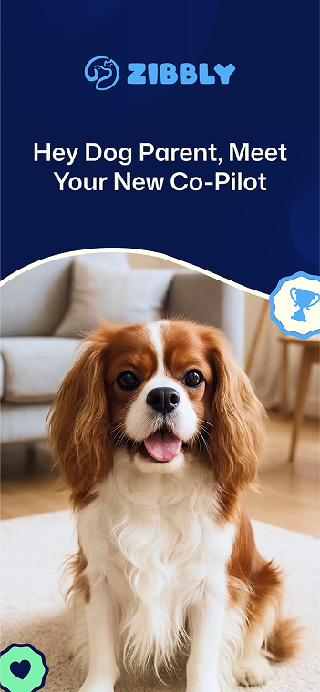 Zibbly - Новый соавтор вашей собаки, работающий на ИИ. медиа 2