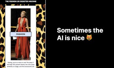 Fashion or Disaster gallery image