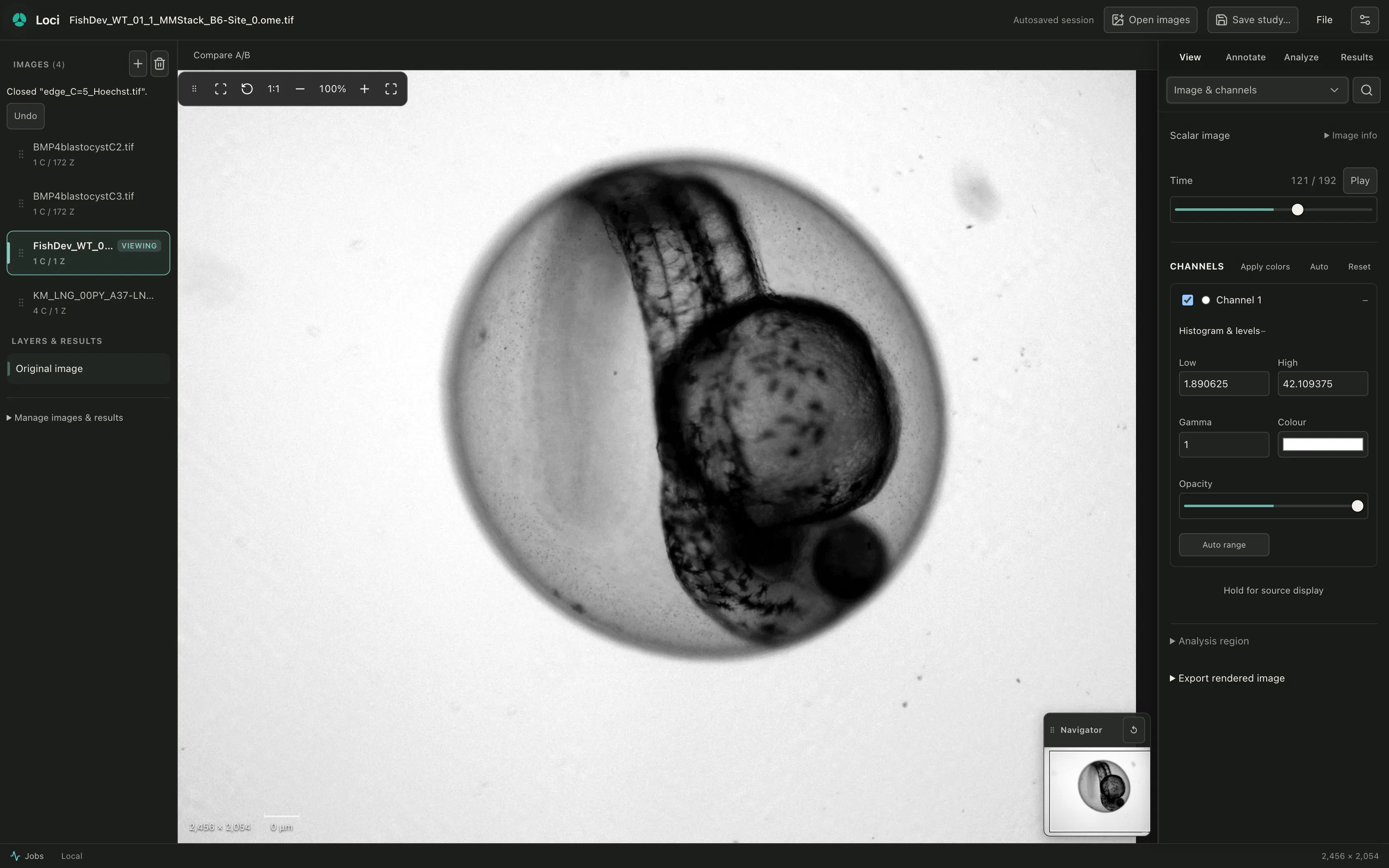 Loci gallery image