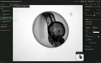 Loci gallery image