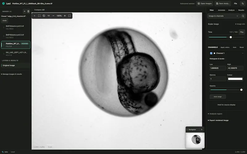 Loci screenshot 6