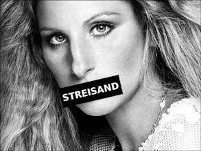 Streisand gallery image