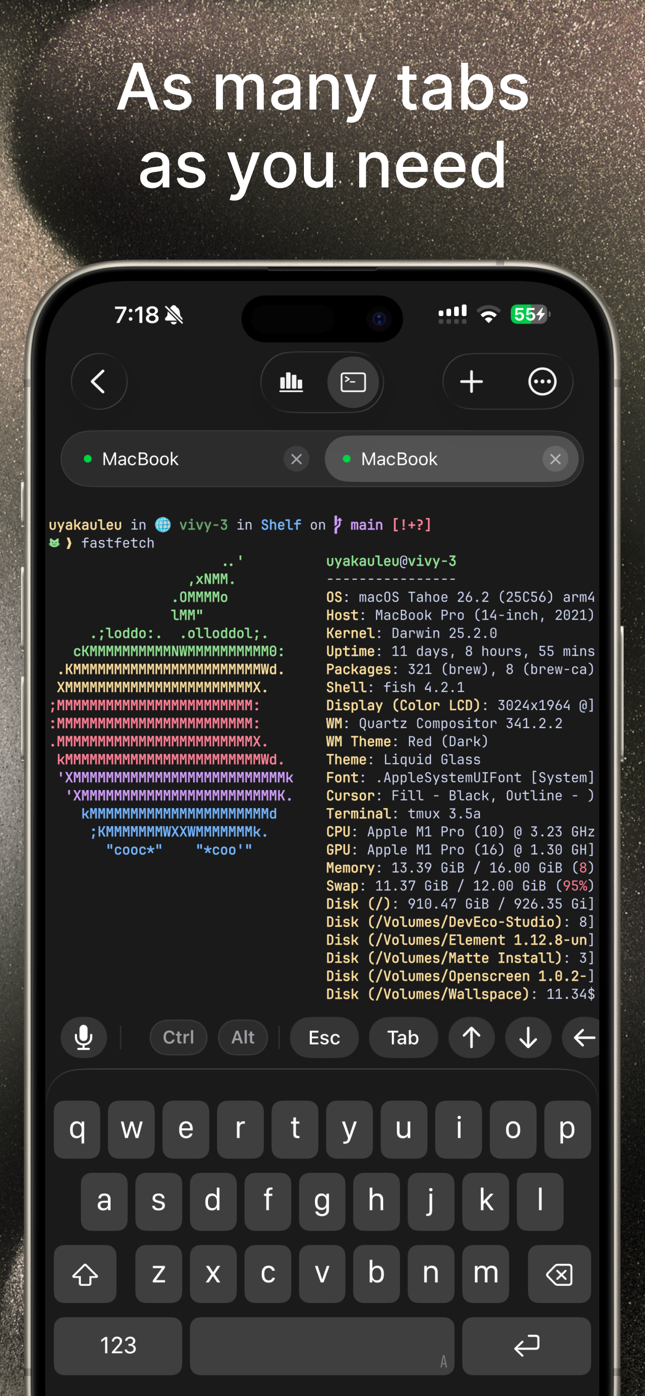 VVTerm gallery image