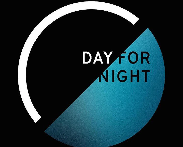 Harambe Hologram at Day for Night Festival in Houston