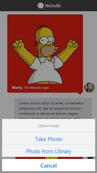 Ionic ElastiChat with Images