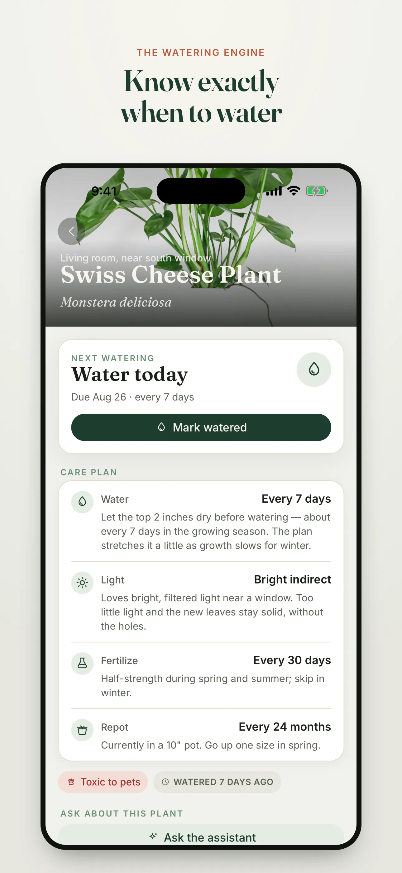LeafLens gallery image