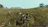 Life is Feudal: Your Own