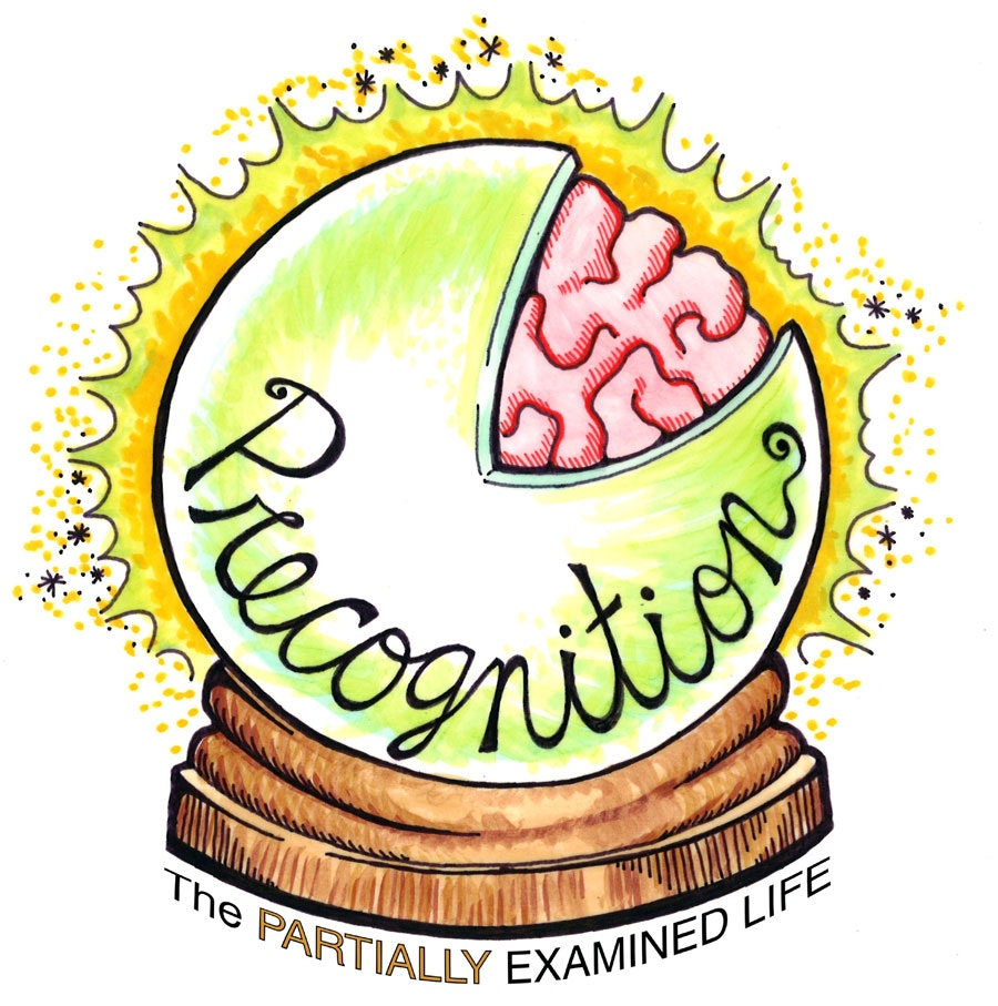 The Partially Examined Life Philosophy Podcast - Precognition of Ep. 87: Sartre