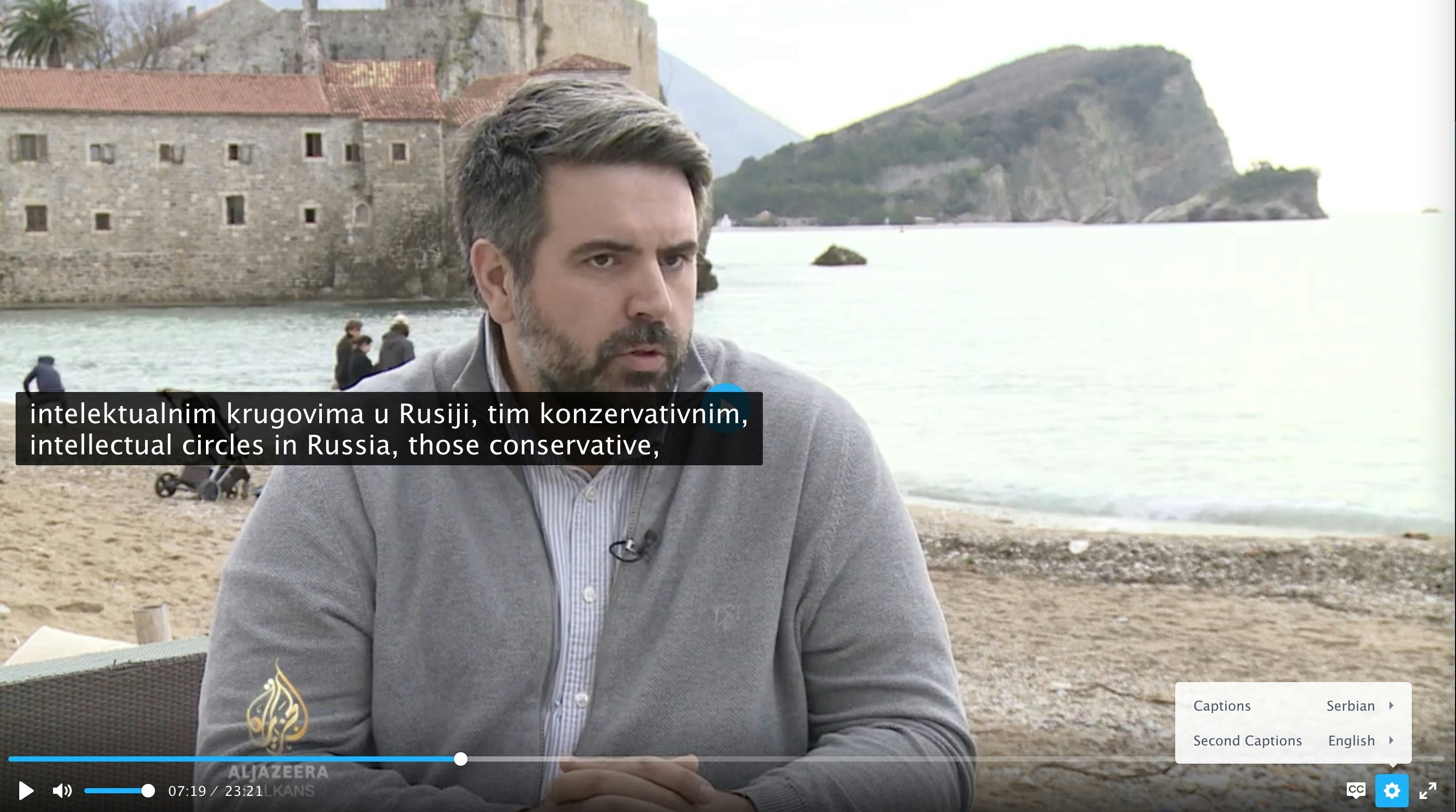 FreeSubtitles.ai media 4