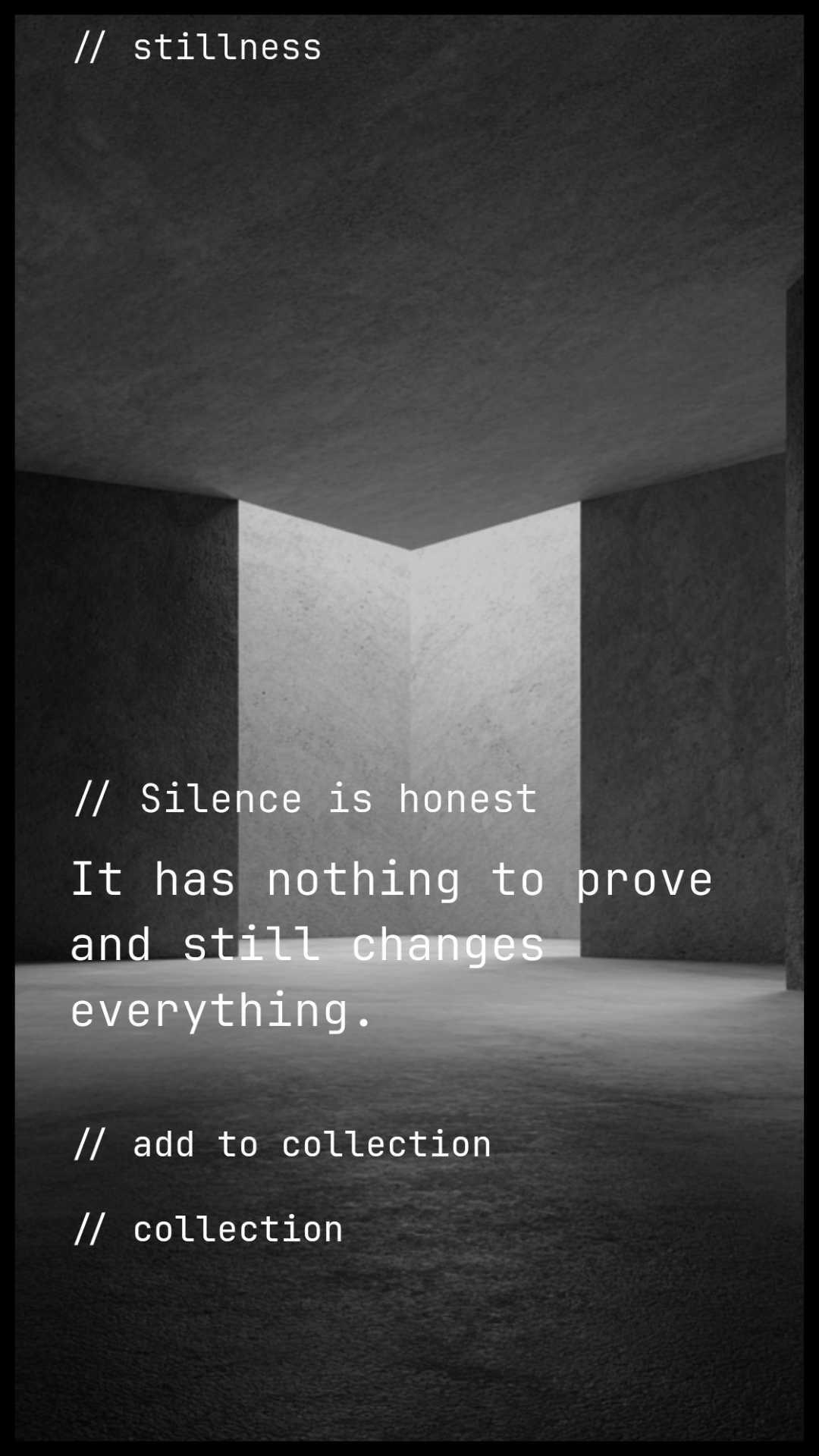 The Quiet Frame gallery image