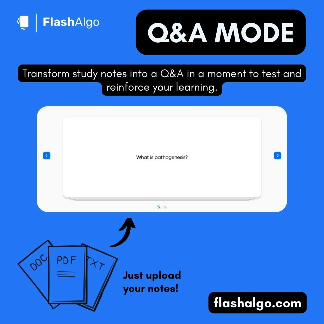Flashalgo media 7