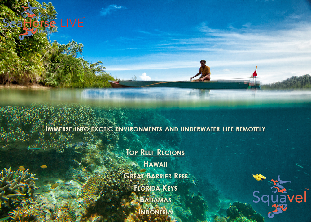 Squavel gallery image