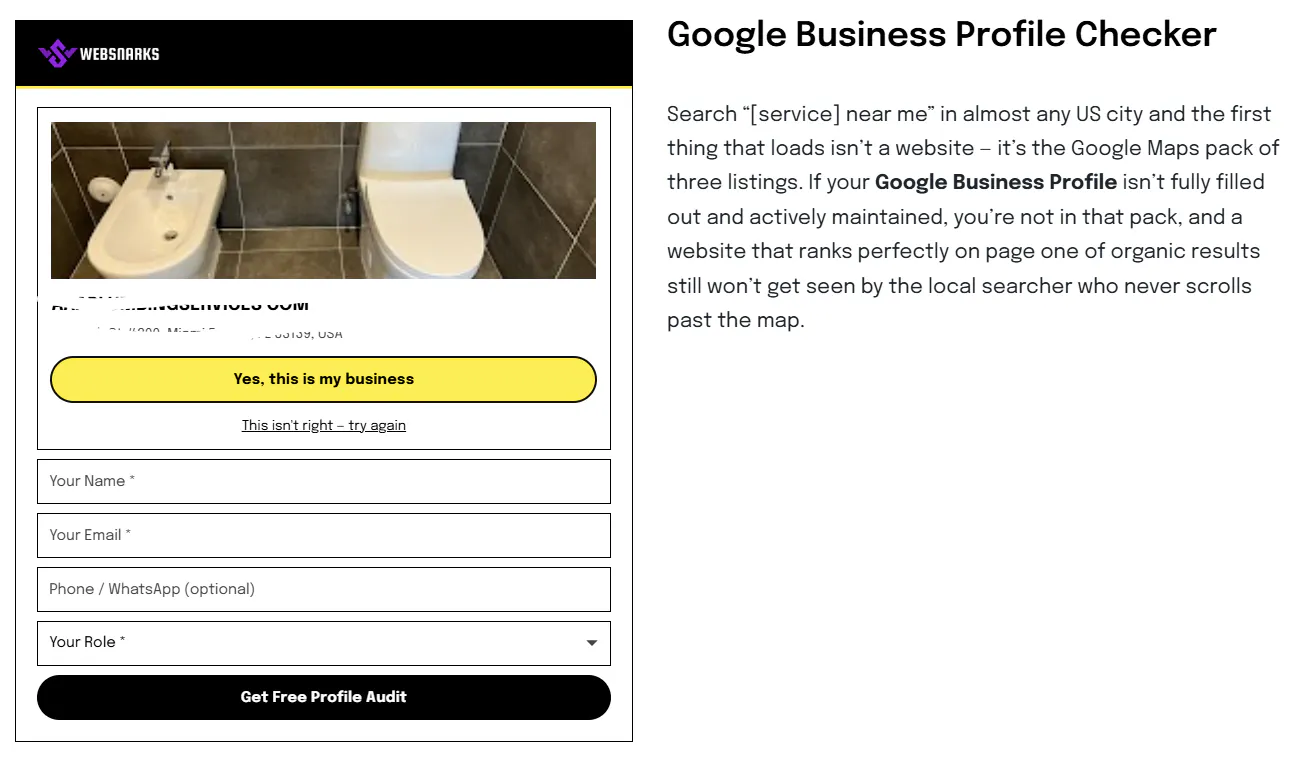 WebSnarks Google Business Profile Check gallery image