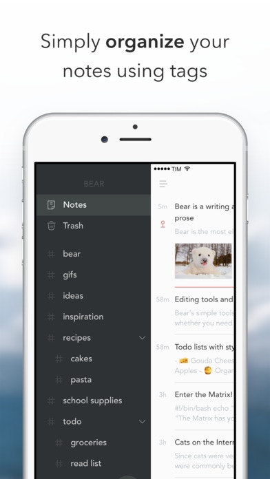 bear writing app for windows