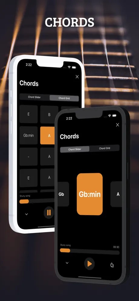 Stuny – AI Chord Detector - Main product screenshot demonstrating key features and user interface