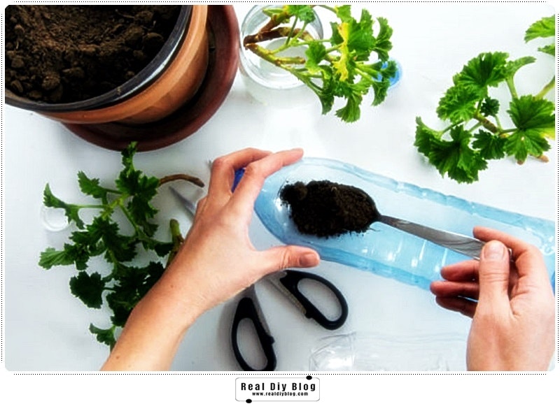 Media Blog thực sự - Tự làm 4