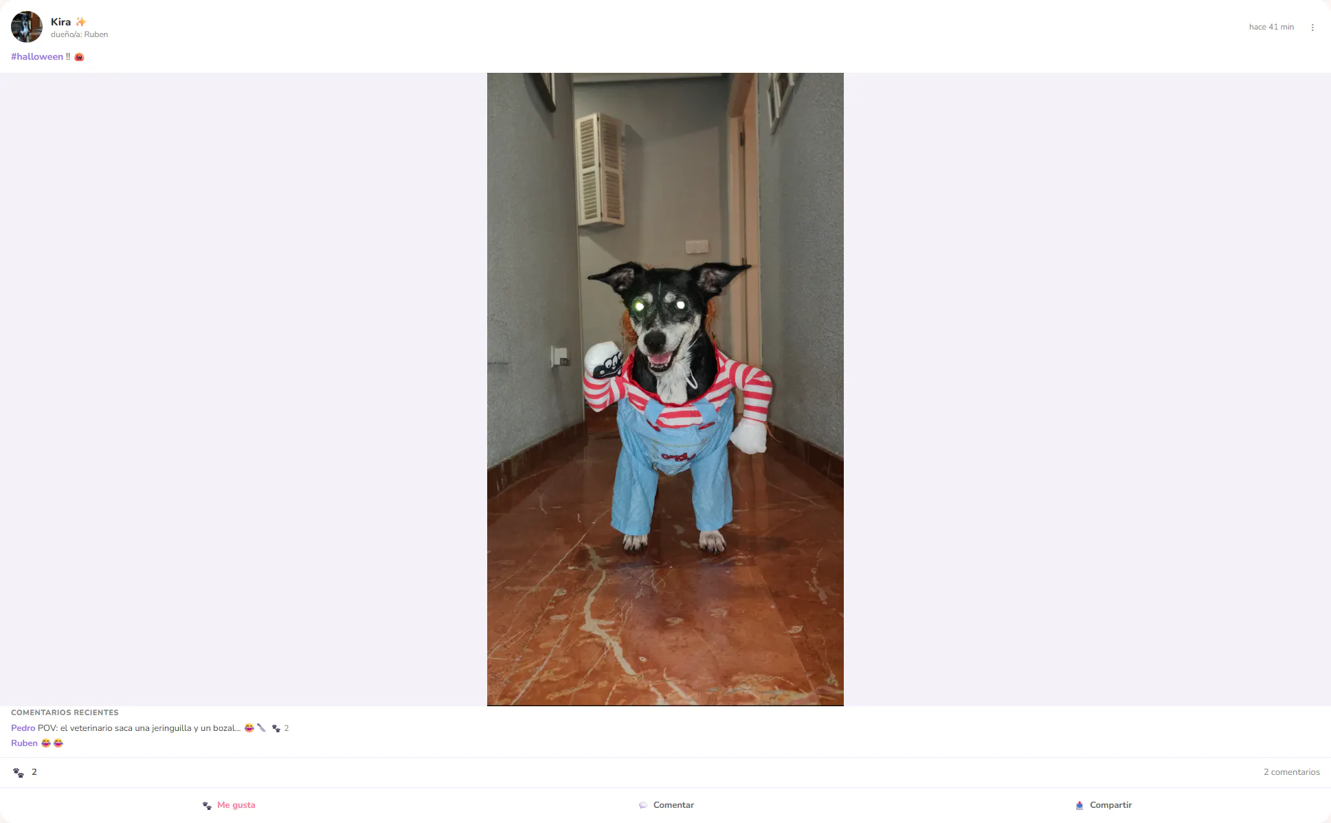 PetFri gallery image