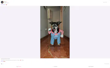 PetFri gallery image
