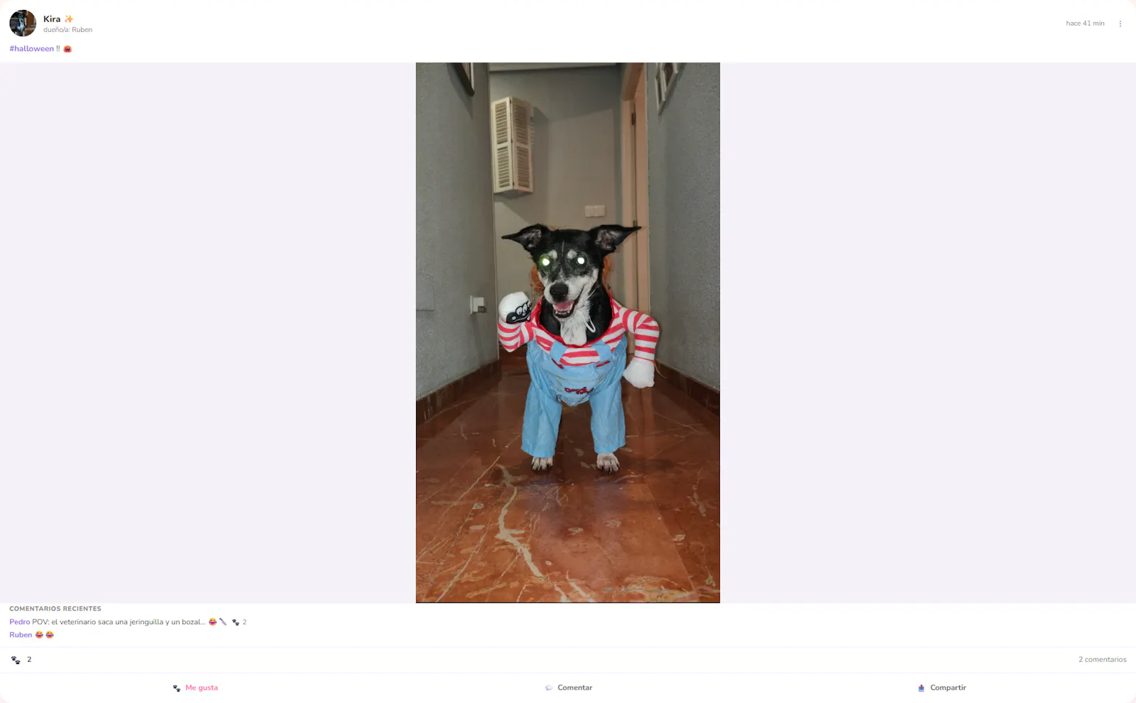 PetFri screenshot 3