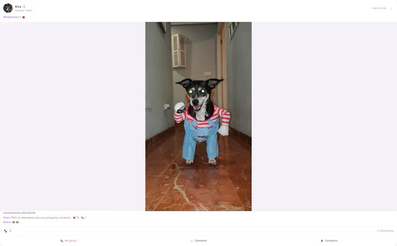 PetFri screenshot 3