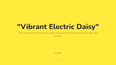 ColorBloom gallery image