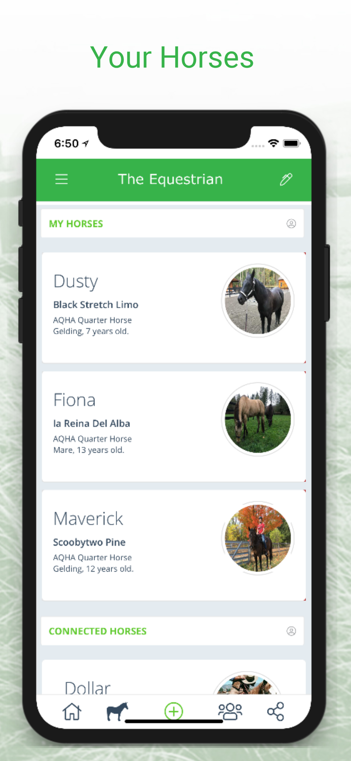 The Equestrian gallery image