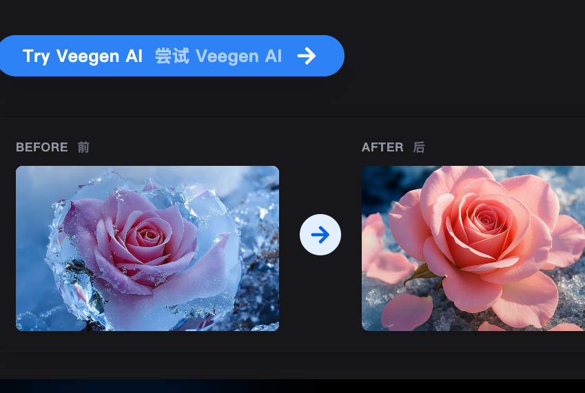 Média Image à la vidéo Générateur AI en ligne - Transformez les images en vidéos étonnantes instantanément avec Veegen AI 2