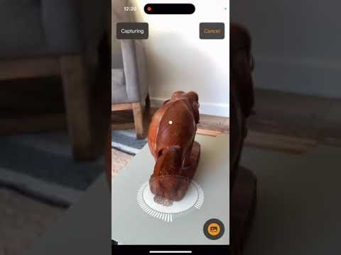 3D Scanner: Sapling gallery image