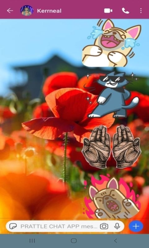 	 PRATTLE CHAT APP gallery image